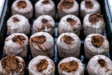 Peat pellets tablets macro closeup above view in mesh on black tray for potted plants containers for growing indoor garden seedlings during winter