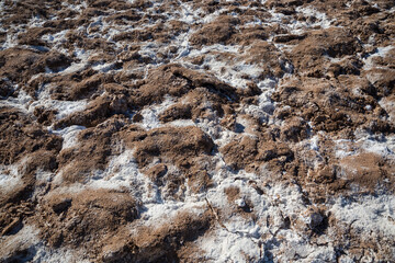 The salt bed of Badwater Basin, the lowest point in North America at -282 feet, in Death Valley National Park in California.