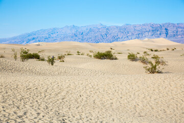 Landscape view of the Mesquite Sand Dunes during the day in Death Valley National Park (California).