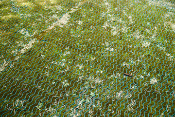 芝生・養生・地面・芝生保護材