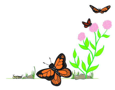 Monarch Butterflies on Milkweed Bottom Corner Frame Border