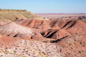 Landscape view of the beautifully colorful mounds in Petrified Forest National Park (Arizona).