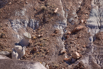 Landscape view of the beautifully colorful mounds in Petrified Forest National Park (Arizona).