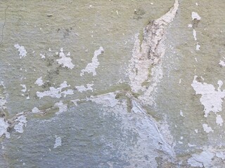 green moss on the wall