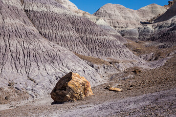 Landscape view of the beautifully colorful mounds in Petrified Forest National Park (Arizona).