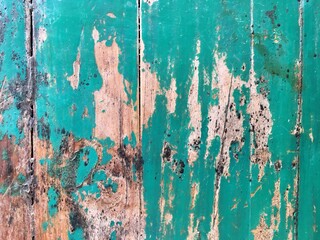 Green wood texture background 