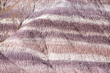 Landscape view of the beautifully colorful mounds in Petrified Forest National Park (Arizona).