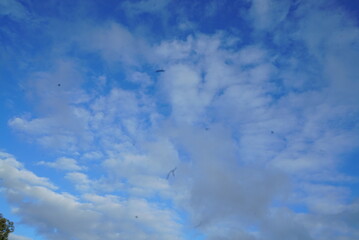 clouds in the sky