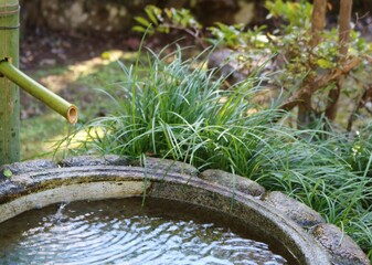 水鉢　つくばい　庭