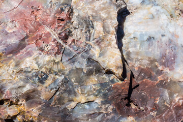 A detailed up-close view of the colorful petrified wood in Petrified Forest National Park (Arizona).