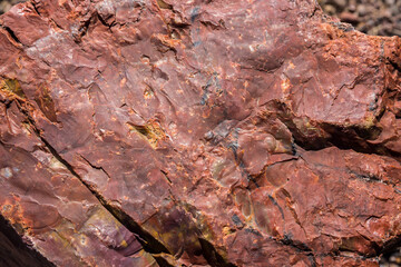 A detailed up-close view of the colorful petrified wood in Petrified Forest National Park (Arizona).