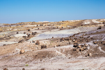 Landscape view of the beautifully colorful mounds in Petrified Forest National Park (Arizona).