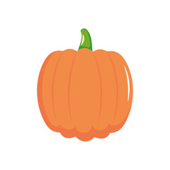 pumpkin vegetable icon, flat style