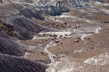 Landscape view of the beautifully colorful mounds in Petrified Forest National Park (Arizona).
