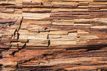 A detailed up-close view of the colorful petrified wood in Petrified Forest National Park (Arizona).