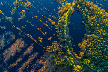 Aerial view of swamp texture and pattern in national park of Kemeri, during sunset.