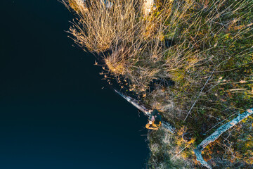 Male explorer watching birds in the bog during sunset.