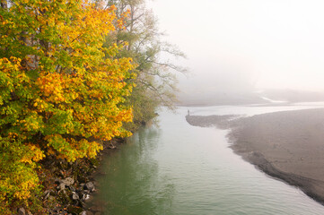 Foggy Fall Morning Fishing Along a Pacific Northwest River. Salmon are migrating up the Nooksack River with autumn colors showing on the maple and alder trees in this idyllic spot in nature.