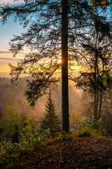 Fototapeta na wymiar Beautiful colourful sunrise over thick forest with mist during autumn.