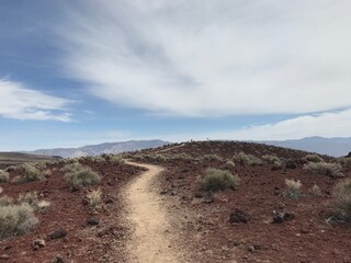 landscape in the desert