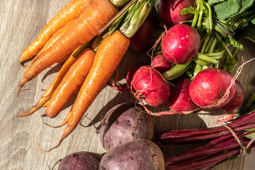 fresh organic carrots, beets and radishes on wooden table in Brazil