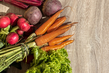 fresh organic carrots, beets, radishes and lettuce leaves on wooden table in Brazil