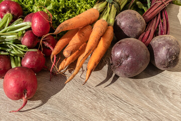 fresh organic carrots, beets, radishes and lettuce leaves on wooden table in Brazil
