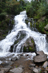 waterfall in the forest