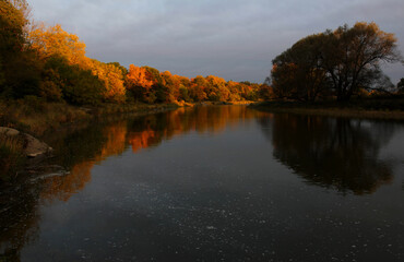 Fototapeta na wymiar The sunrising on the autumn coloredd trees lining the Grand River. Shot in Waterloo, Ontario, Canada.