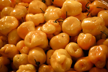 Habanero