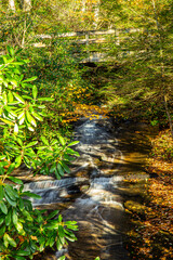 Fototapeta na wymiar Fall photos from the Blue Ridge Parkway area, Northwestern North Carolina