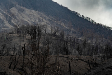 Turrialba Volcano, Turrialba, Cartago.  Costa Rica