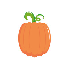 icon of pumpkin vegetable, flat style