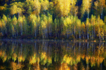 The autumn landscape of Singanense of China.