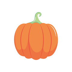 pumpkin vegetable icon, line style