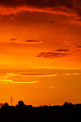 black and orange sunset