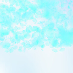 Turquoise flower petals falling down. Juicy romant