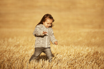 Naklejka na ściany i meble Happy two year old girl walking in summer harvested field