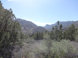 Fototapeta premium Red Rock Canyon Las Vegas, Nevada