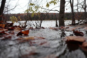 Fall stream
