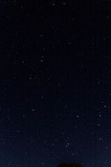 Fototapeta premium Estrellas. 