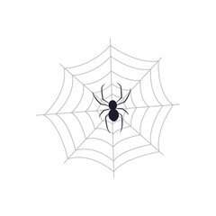 spider on web icon, flat style