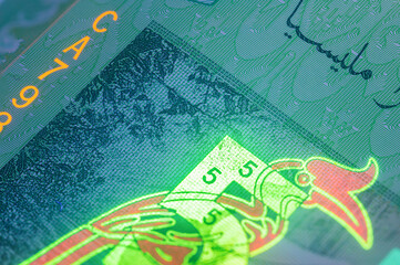 Macro photography of 5 Malaysian ringgit with fluor light. Extreme close-up of RM5 Malaysia. Sharp capture of the Rhinoceros Hornbill bird on the banknote. Invisible fluorescent image gets visible