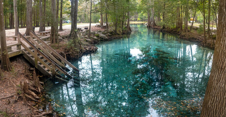 Obraz premium Little Devil's Spring on the Santa Fe River, Gilchrist County, Florida