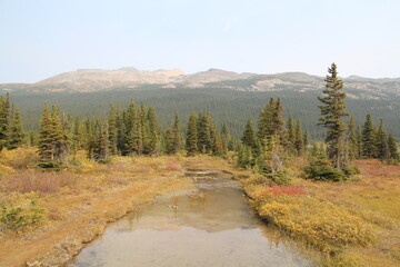 Fototapeta na wymiar Beauty On The Creek, Banff National Park, Alberta
