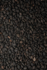 Black Sesame seeds macro close up