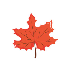 icon of maple leaf, flat style