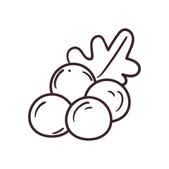 berries fruit line style icon vector design