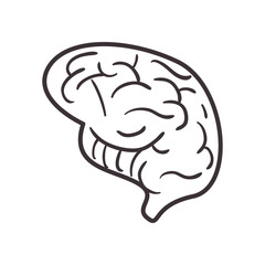 brain daily sticker line style icon vector design