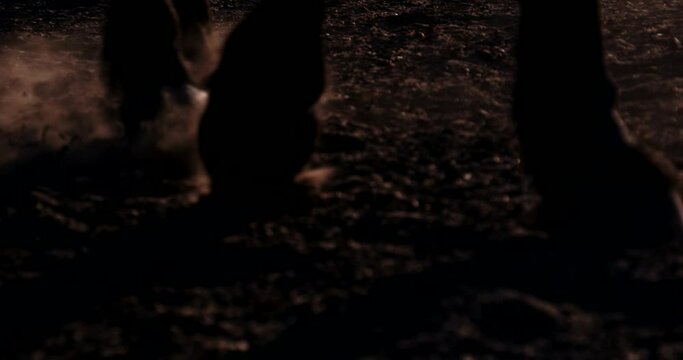 Equestian sport and active lifestyle. Close up horse hooves step ground at sunset. Dust and smoke swirls. Slow motion. Animals concept. Slow motion.